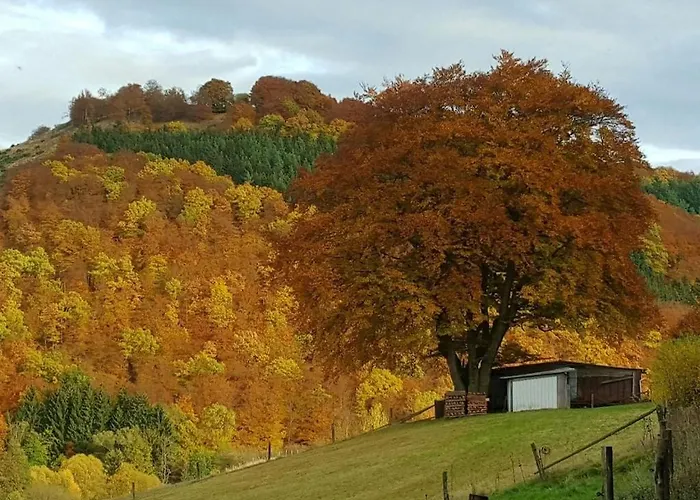 Holiday home With 1 Bedroom *