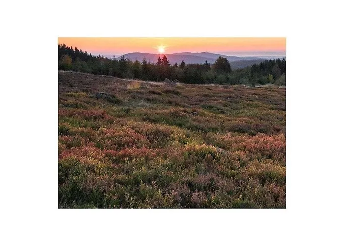 Holiday home With 1 Bedroom Winterberg